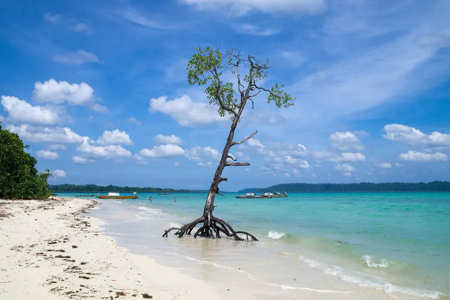 Tela de celular com QR code do eSIM VoaSim instalado antes da viagem para a Argentina
